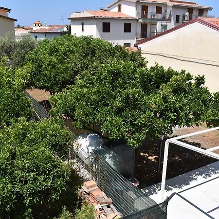 B&B Da Zio Peppe Cirella Exteriör bild
